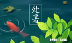 处暑结婚好不好2022 八月份哪天结婚日子好2022