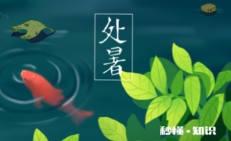 处暑结婚好不好2022 八月份哪天结婚日子好2022