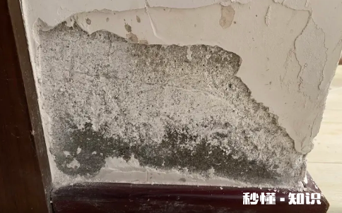 如何预防室内墙面反碱 墙面反碱有什么后果