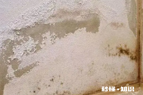 如何预防室内墙面反碱 墙面反碱有什么后果