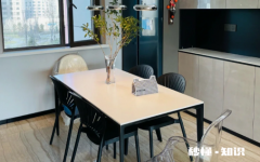 德利丰岩板背面都是粗糙的吗 德利丰岩板背面有logo吗