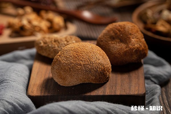 吃猴头菇的禁忌 吃猴头菇有哪些注意事项