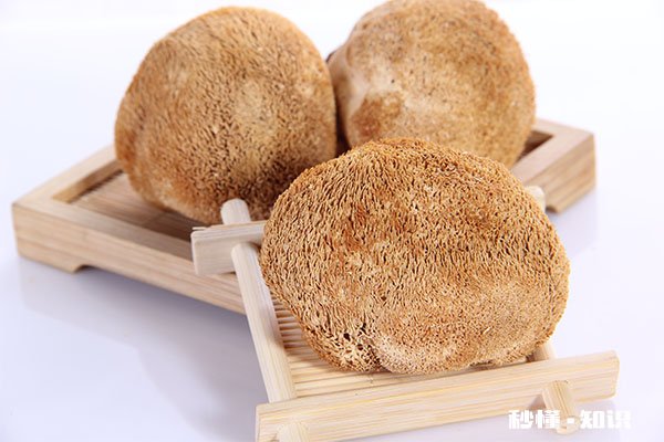 吃猴头菇的禁忌 吃猴头菇有哪些注意事项