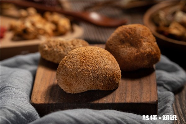 吃猴头菇的禁忌 吃猴头菇有哪些注意事项