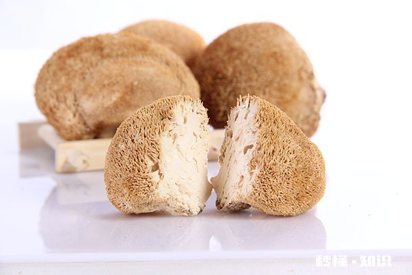 吃猴头菇的禁忌 吃猴头菇有哪些注意事项