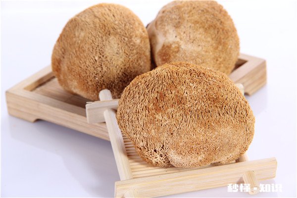 吃猴头菇的禁忌 吃猴头菇有哪些注意事项