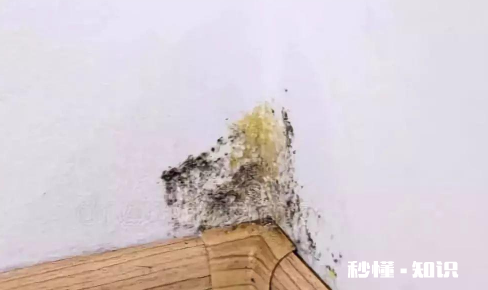 墙面发霉怎么自己翻新要用砂纸打磨下吗 室内墙体发霉怎样彻底处理