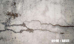 墙面发霉怎么自己翻新要用砂纸打磨下吗 室内墙体发霉怎样彻底处理