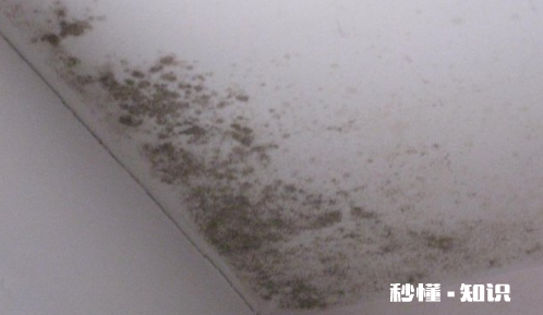 墙面发霉怎么自己翻新要用砂纸打磨下吗 室内墙体发霉怎样彻底处理