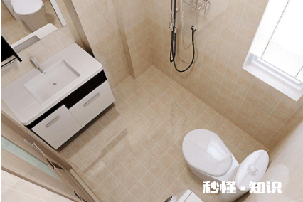 家里的厕所为什么会出现蚂蟥 厕所有蚂蝗该怎样彻底消灭