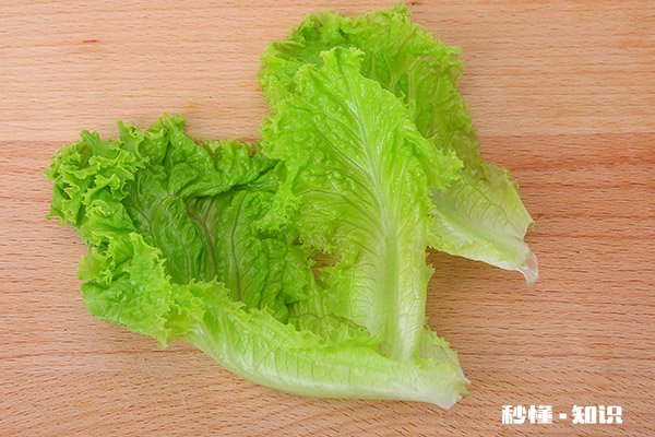 生菜有哪三大禁忌 生菜的功效与作用