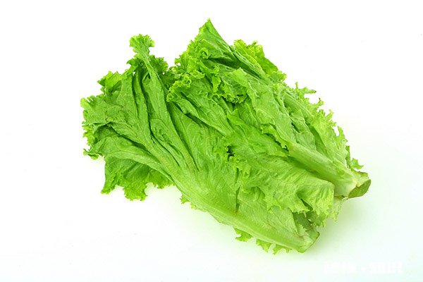 生菜有哪三大禁忌 生菜的功效与作用