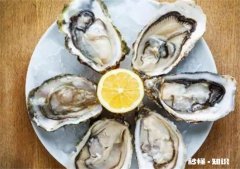 生蚝生吃好不好 吃生蚝到底好不好