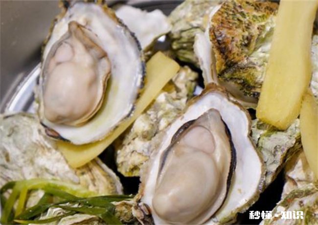 生蚝生吃好不好 吃生蚝到底好不好