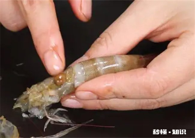 虾头可以吃吗 小河虾头可以吃吗