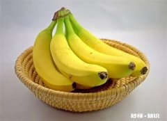 吃香蕉对糖尿病好不好 吃香蕉容易得糖尿病吗