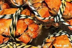 网购大闸蟹缺斤少两是怎么回事 大闸蟹短斤缺两