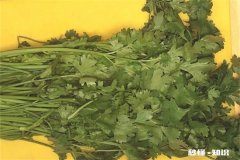 香菜冷冻后化开发黑能吃吗 香菜冻黑了还能吃吗