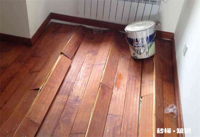 铺实木地板要放防虫剂吗 铺木地板底下是否放防虫药吗