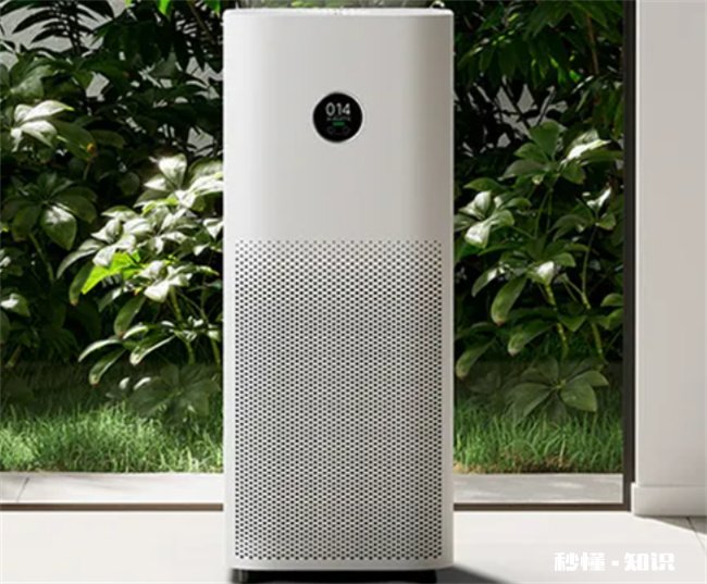 绿萝和活性炭除甲醛哪个好 绿萝和活性炭除甲醛哪个好一点