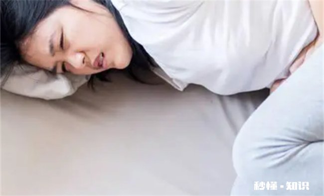 生理期可以练刘畊宏健身操吗 刘畊宏本草纲目健身操