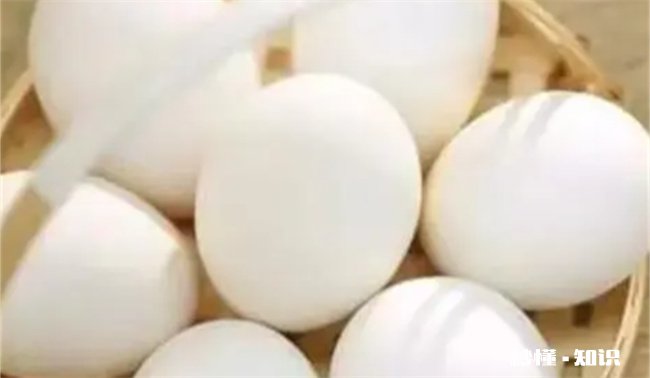 鹅蛋不适合什么人群吃 鹅蛋什么人不适宜吃