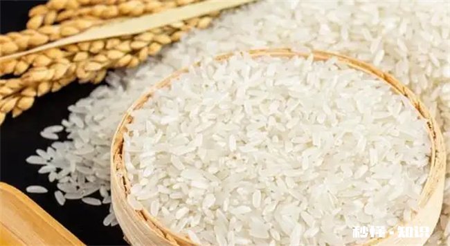 怎么防止大米生虫 怎么防止大米生虫子