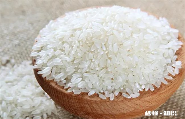 怎么防止大米生虫 怎么防止大米生虫子