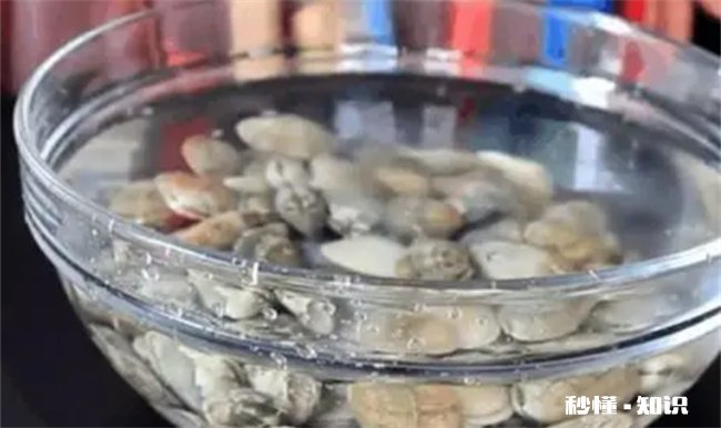 花蛤怎么吃要去掉内脏吗 花蛤吃的时候要去掉内脏吗