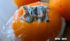 柿子要怎么催熟才好吃 柿子要怎么催熟才好吃呢