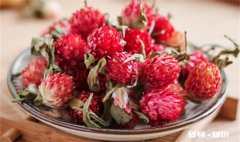 红巧梅可以祛斑吗 红巧梅喝多久能祛斑