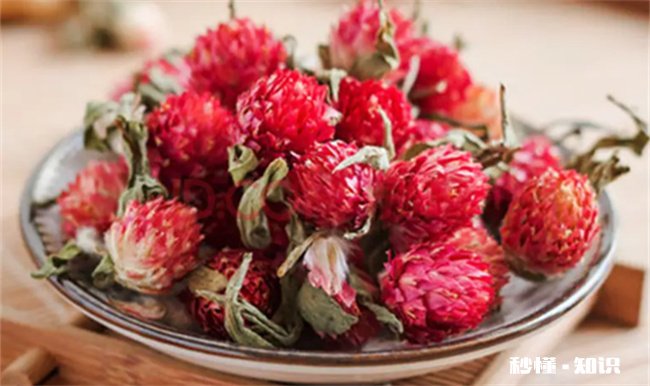 红巧梅可以祛斑吗 红巧梅喝多久能祛斑