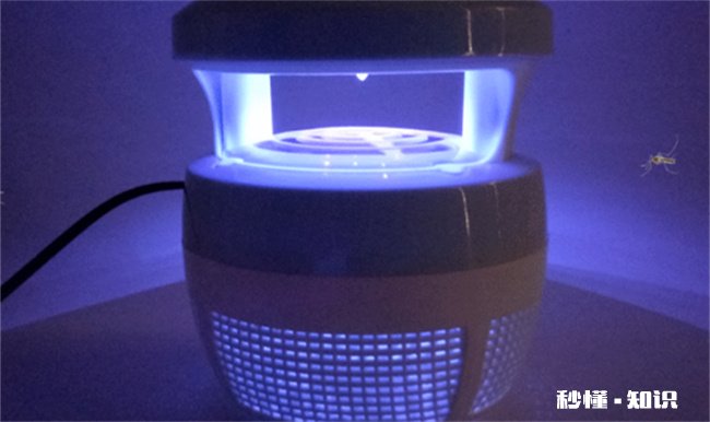 离灭蚊灯多远比较安全 灭蚊灯的安全距离