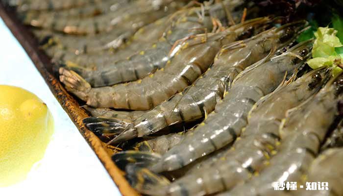 虾仁煮多久 虾仁煮多久