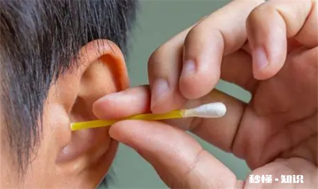 蟑螂会爬到熟睡的人身上吗 睡觉时蟑螂会爬到人身上吗