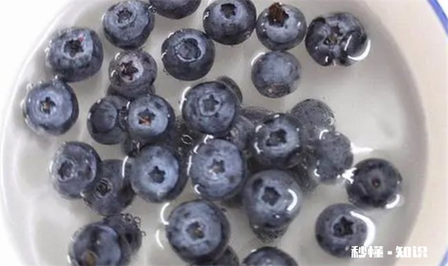 蓝莓为什么用盐水浸泡 蓝莓需要盐水泡吗