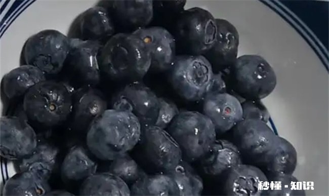 蓝莓为什么用盐水浸泡 蓝莓需要盐水泡吗