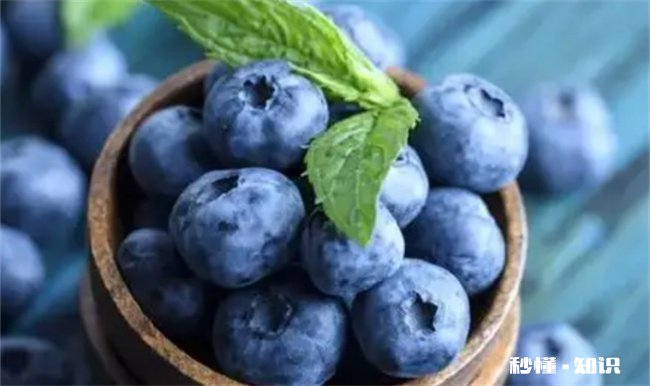 蓝莓为什么用盐水浸泡 蓝莓需要盐水泡吗