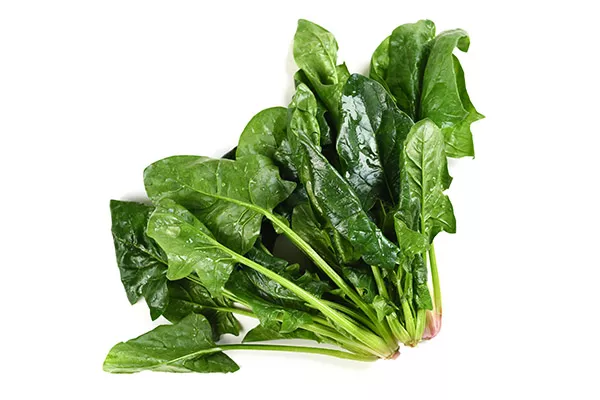 菠菜和什么不能一起吃 菠菜和什么相克