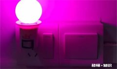 紫色灭蚊灯灯光有害吗 灭蚊灯上的紫色灯对人体有害吗