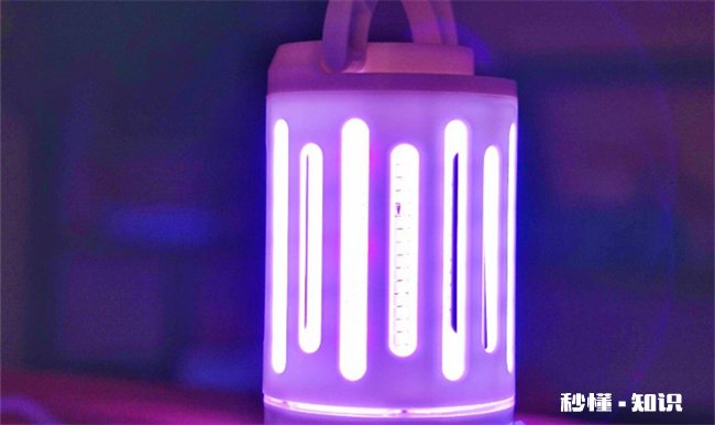 紫色灭蚊灯灯光有害吗 灭蚊灯上的紫色灯对人体有害吗