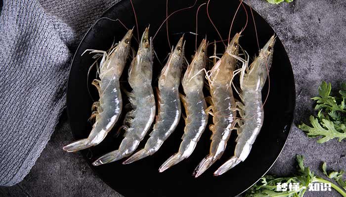 海虾的刺有毒吗 虾有刺吗