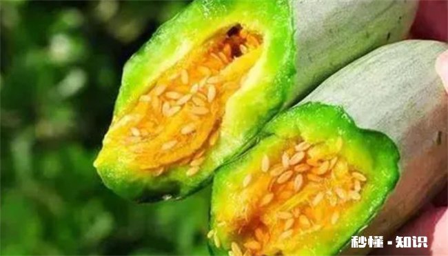 羊角蜜糖尿病人能不能吃一点 羊角蜜糖尿病可以吃吗