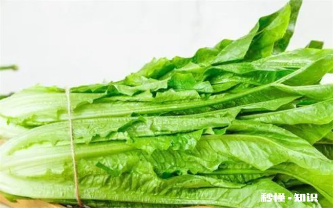莴笋叶子能吃吗 莴笋叶子能吃吗凉拌