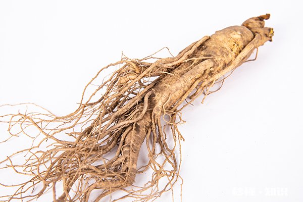 胡萝卜不能和什么食物同食 胡萝卜和什么相克