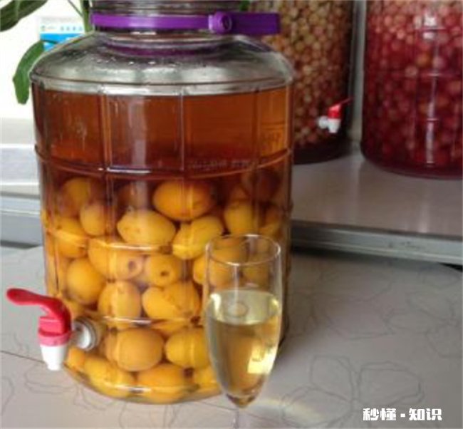 放了6年的枇杷泡酒还能喝吗 泡了8年的枇杷酒