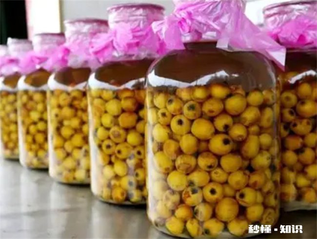 放了6年的枇杷泡酒还能喝吗 泡了8年的枇杷酒