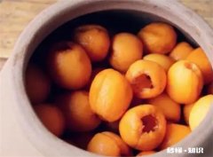 放了6年的枇杷泡酒还能喝吗 泡了8年的枇杷酒