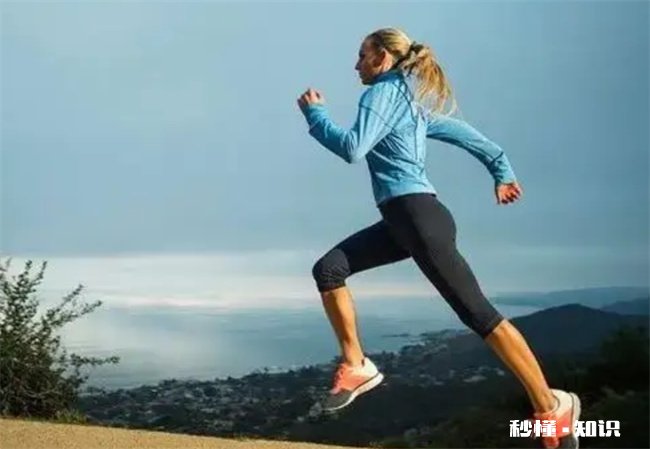 玉米热量计算是加上棒子吗 玉米100克的热量算不算玉米棒