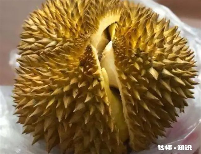 榴莲要挑什么样的才又香又甜 榴莲要挑什么样的才好吃